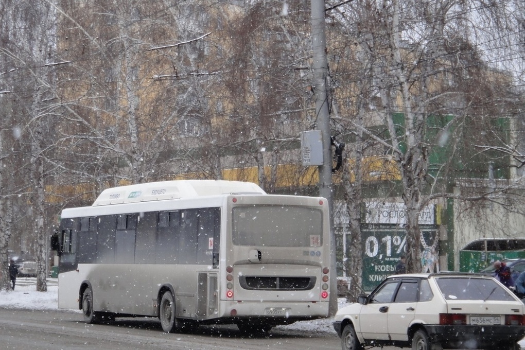 16 маршрутов будут бесплатно возить школьников в Новосибирске на каникулах
