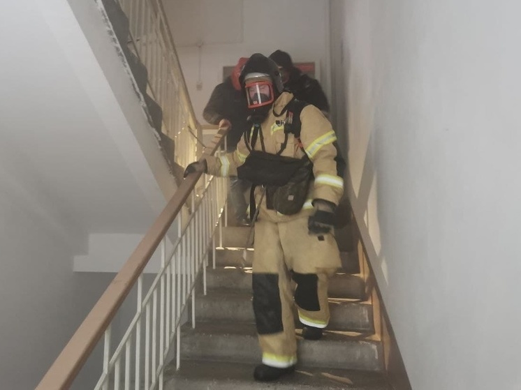 Пенсионерка погибла на пожаре многоэтажки в Чите
