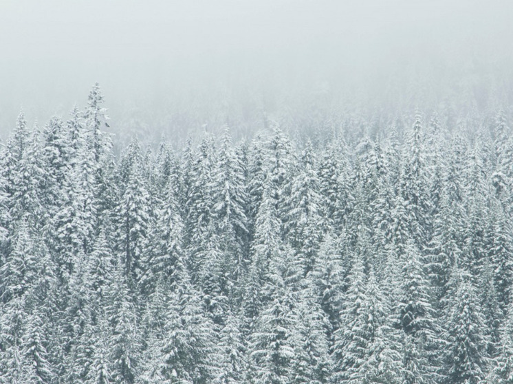 На выставке-форуме «Россия» НАО назвали магнитом для инвесторов