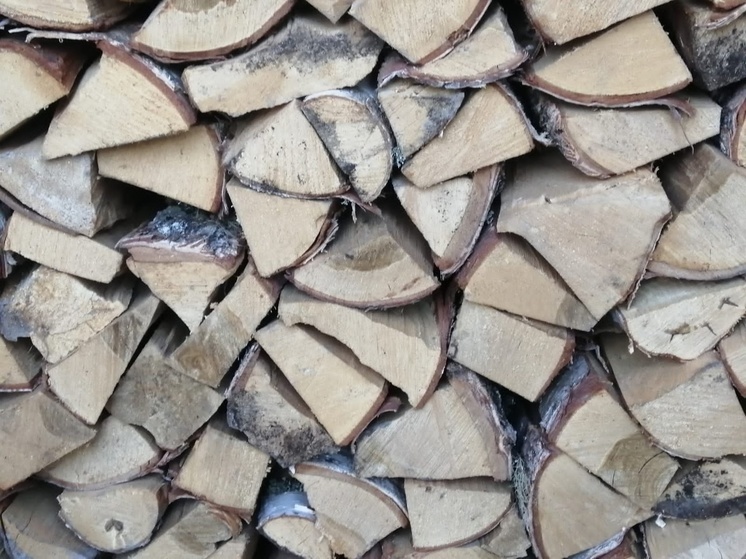 Прокурор Карелии помог жителю поселка заготовить дрова на зиму