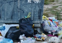 Жительница села Нечаевка Белгородского района рассказала губернатору, что в населенном пункте уже неделю не вывозили мусор
