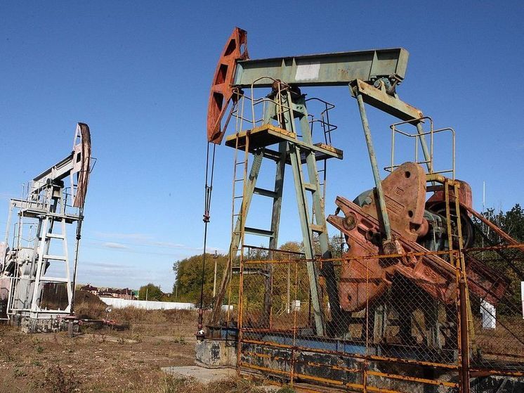 Шульгинов: нефтегазовая отрасль России выдержала давление санкций