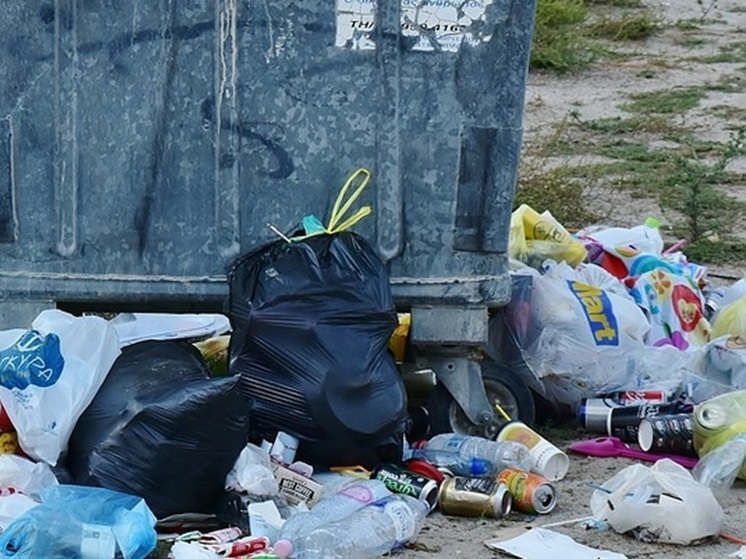 «Терпеть это сил нет»: Гладков согласился с жалобами белгородцев на плохой вывоз мусора