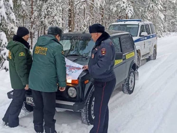 Лесная охрана вышла на патрулирование в Орехово-Зуевском лесничестве