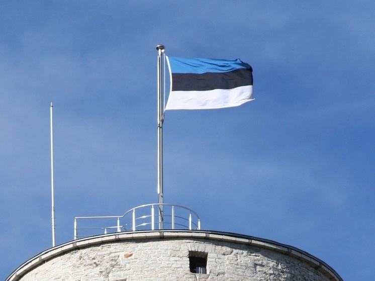 Полиция Эстонии отобрала у туриста стикеры с надписью «Я русский!»