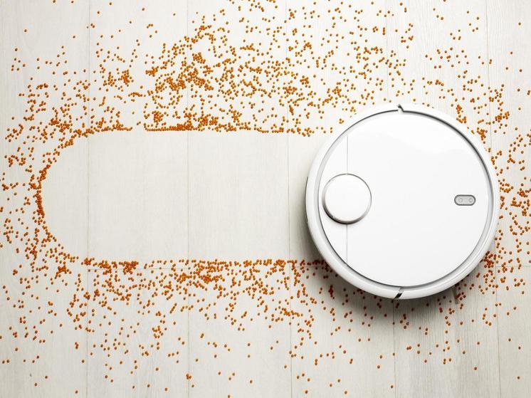 Юный петрозаводчанин украл робот-пылесос в Медвежьегорске