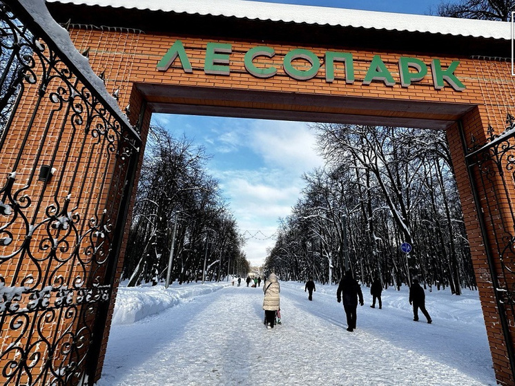 В Лесопарке Рязани состоится «трезвый забег» 1 января
