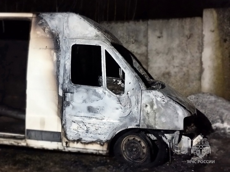 В Смоленске на Шейновке загорелся микроавтобус