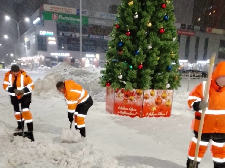 Коммунальщики расчистили от снега новогодние елки в Петрозаводске
