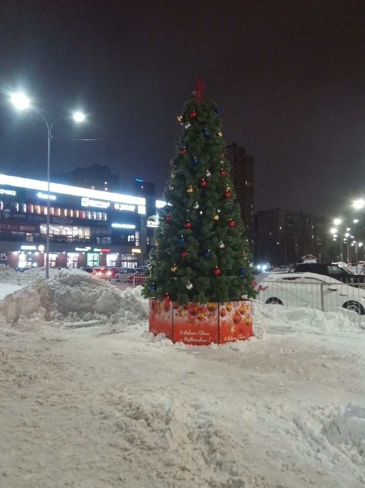 Новогоднюю елку поставили на Древлянке в Петрозаводске, но не там, где обещали