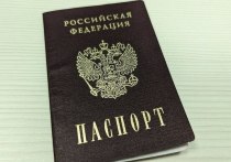 Сразу после получения российского гражданства 11 мужчинам вручили повестки о постановке на воинский учет в Санкт-Петербурге