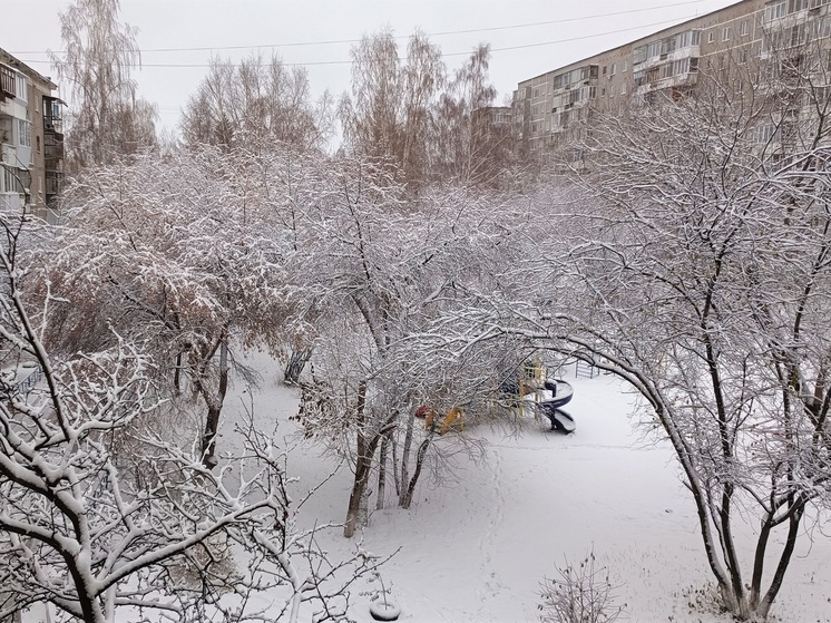Мокрый снег, гололед и метель прогнозируют в Курганской области