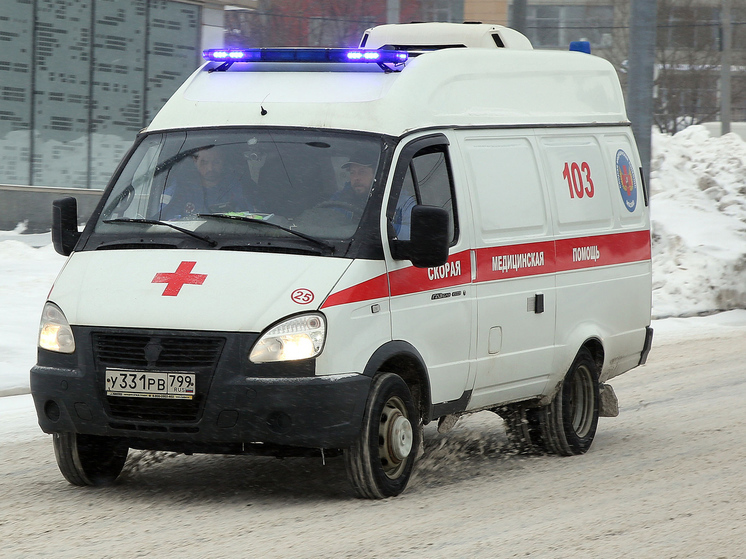 Пенсионерка с сыном превратили в склеп свою квартиру в центре Москвы0