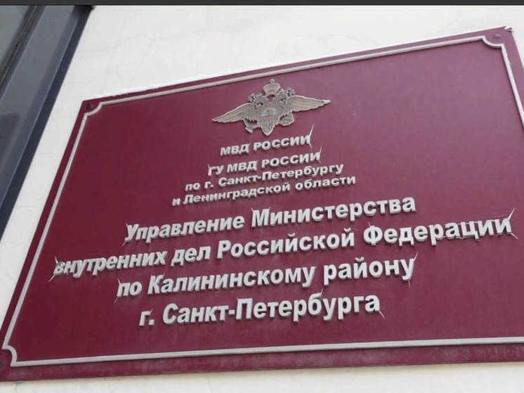 В Петербурге раздали повестки иностранцам, получившим гражданство РФ