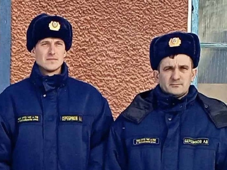 Пожарные из Алтайского края спасли замерзающего на дороге водителя