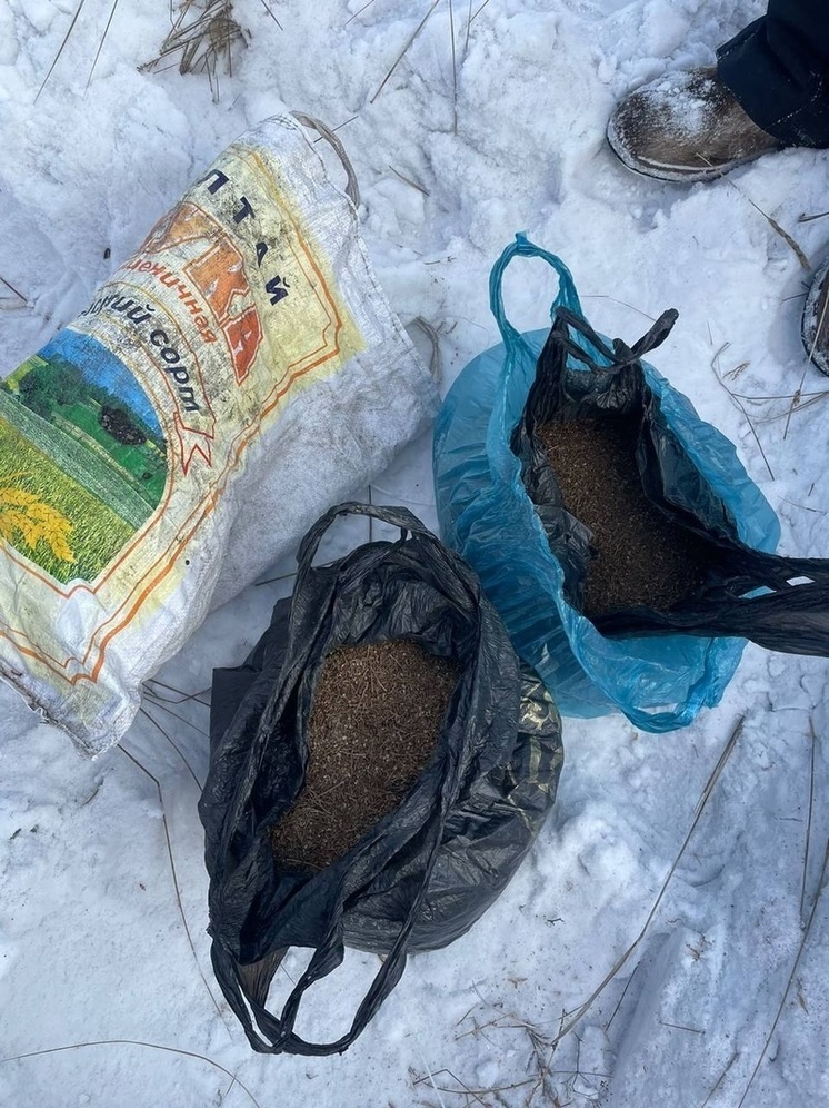 Полицейские Тувы  изъяли более 7 килограммов наркотических средств