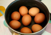 Средняя цена на куриное яйцо в наше стране за неделю - с 12 по 18 декабря - выросла на 4,62%