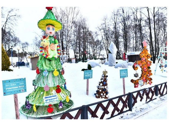 В Ярославле началось голосование за самую красивую новогоднюю елку
