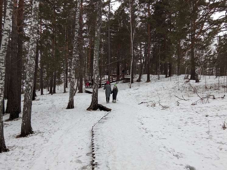 Как выжить в лесу зимой: что советовала поисковик из Красноярска Оксана Василишина при жизни