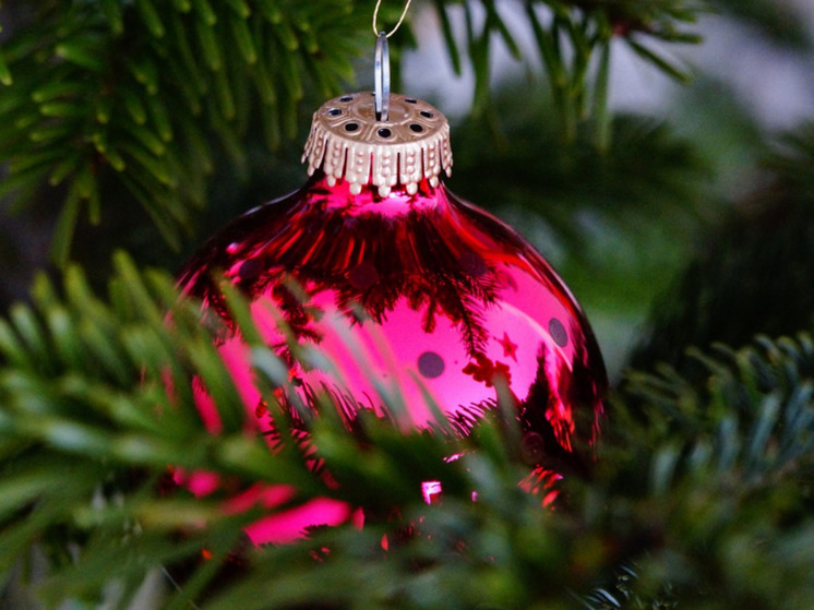 Главе НАО достался шар с мечтой девочки из Запорожской области