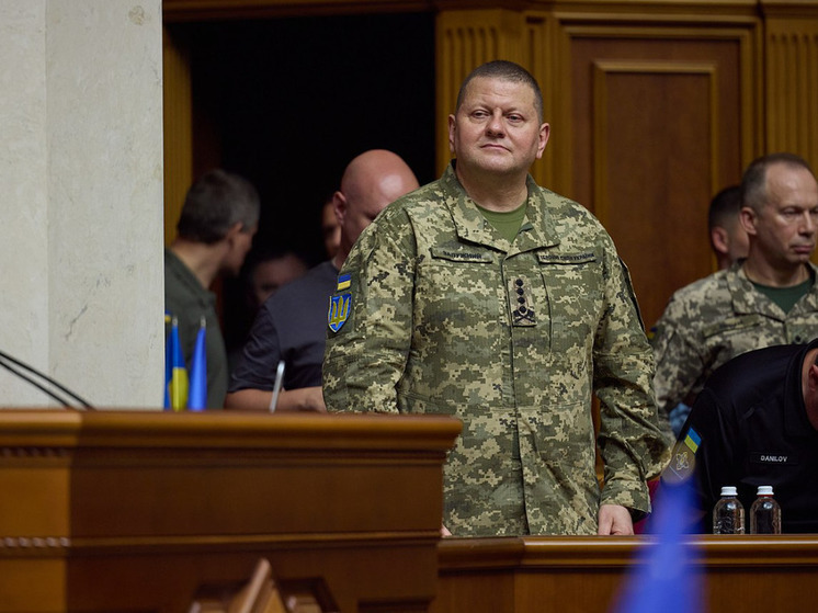 СМИ: найденный "жучок" накалит противостояние между Зеленским и Залужным