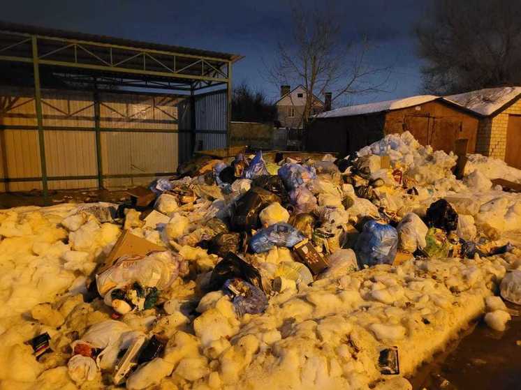 Воронежцам объяснили, почему неделю не вывозили мусор