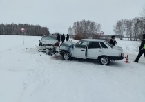 ВАЗ-21099 и «Тойота Надиа» столкнулись утром 21 декабря на трассе в Омской области