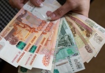 Омскстат опубликовал непривычно краткие сведения о задолженности по зарплате в регионе