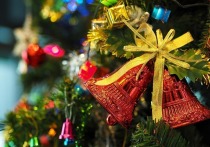 В белгородских детских садах и школах с 21 декабря начинают проводить новогодние утренники