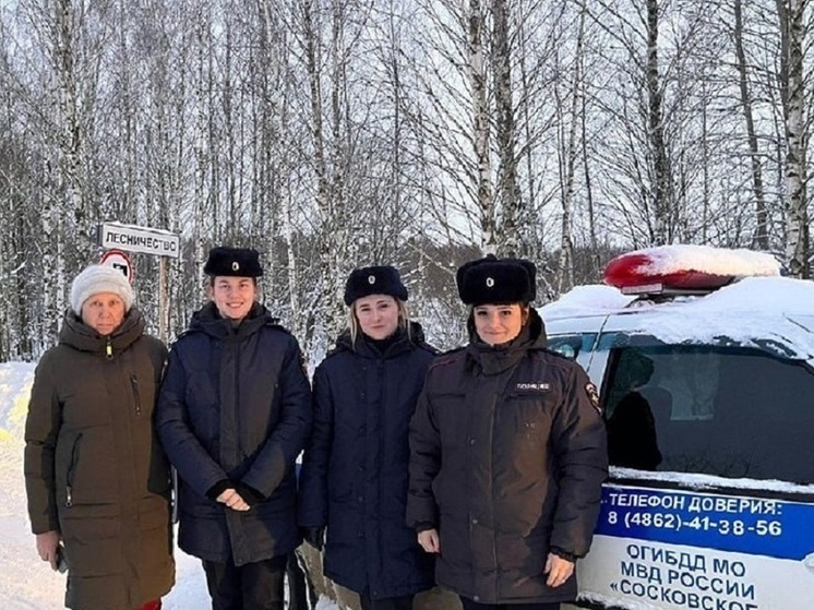 В орловских лесах не выявили случаев незаконной вырубки елей