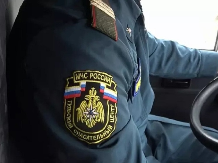 Тульские спасатели привезли 100 тонн гуманитарной помощи в Донбасс