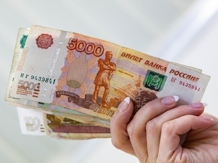 В Новосибирске матери получат пособие по уходу за ребёнком досрочно в декабре-2023