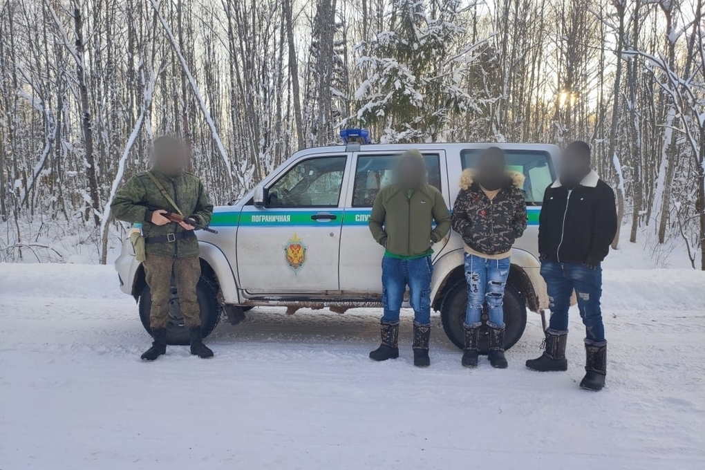 Три африканца пытались незаконно перейти границу в Псковской области