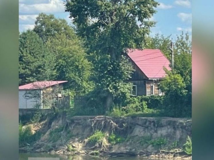 После судебного разбирательства в Брянске укрепят берега Десны
