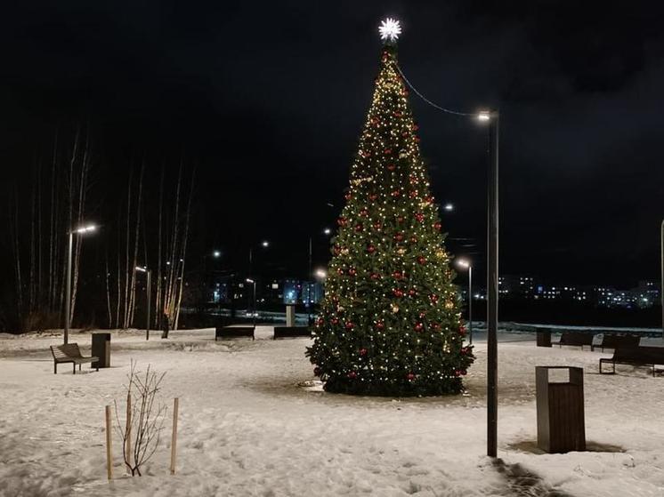 В новгородском парке «Березовая роща» установили новогоднюю елку