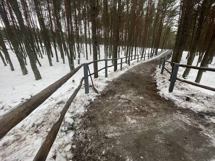 На Куршской косе во время ремонта могут закрывать некоторые КПП