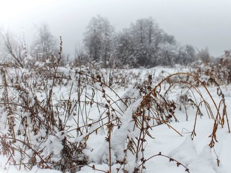Небольшие морозцы вернутся в Подмосковье уже в это воскресенье