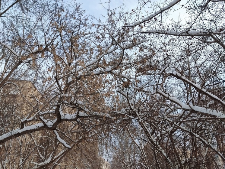 восход и заход солнца мурманск 22 декабря