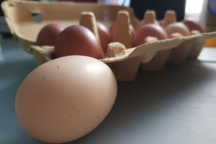 Пензенский минсельхоз договорился с птицефабриками о стабилизации цен на яйца