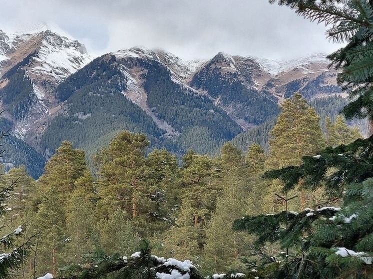 А анализ по оценке климата в регионе свидетельствует о повышении лояльности жителей других регионов России к СКФО