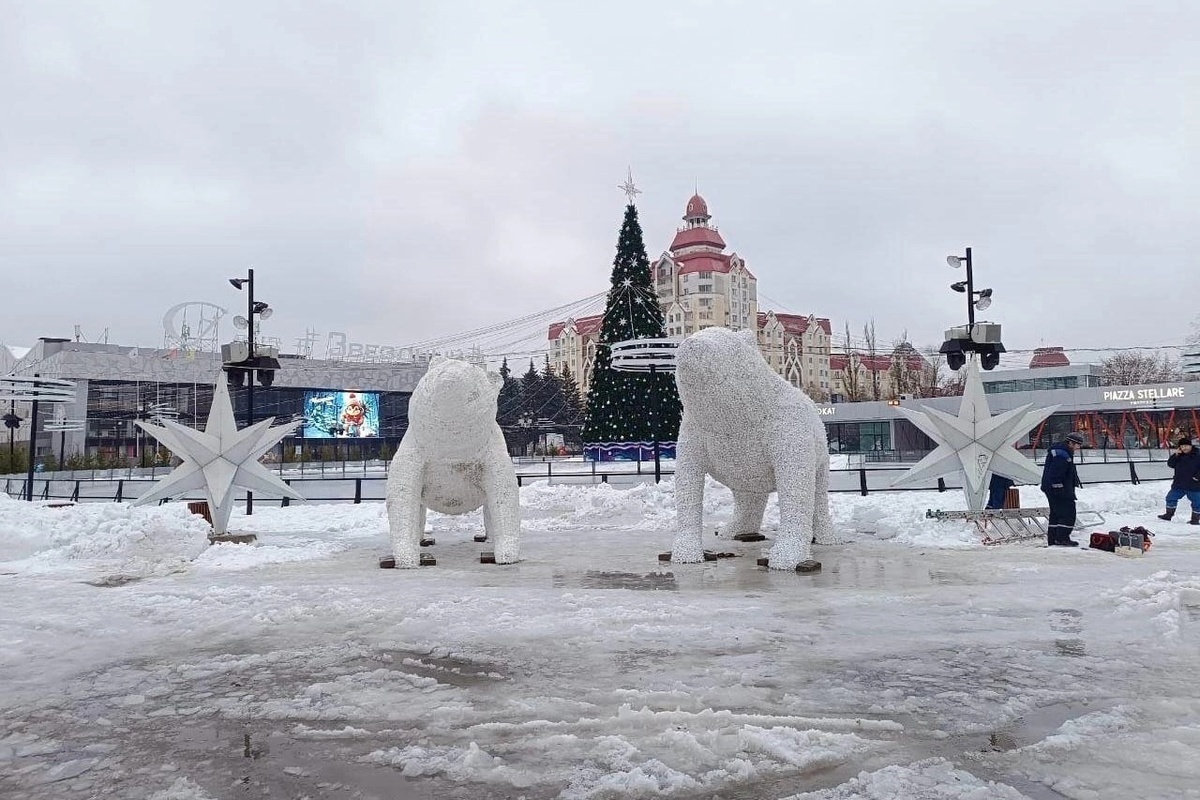 В Липецке появились полярные медведи