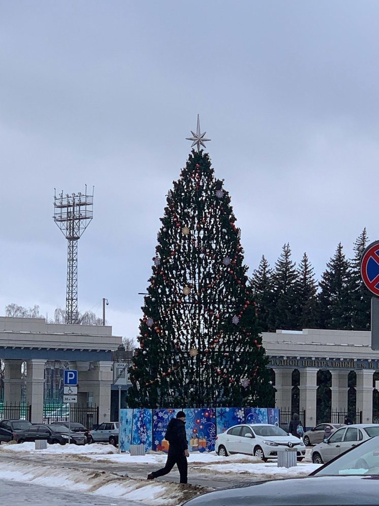 Жители Северного района Орла останутся в Новый год без ёлки