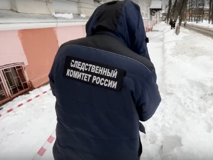 В Ярославле пошла на поправку девочка, на которую свалилась снежная глыба