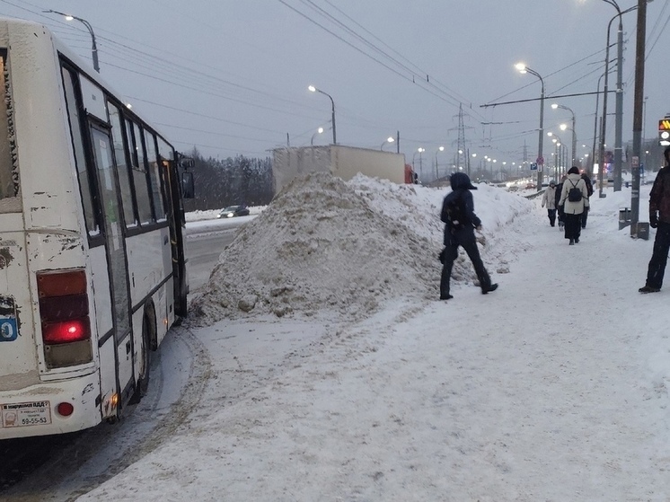 Частники в Петрозаводске предлагают уборку снега по сходной цене