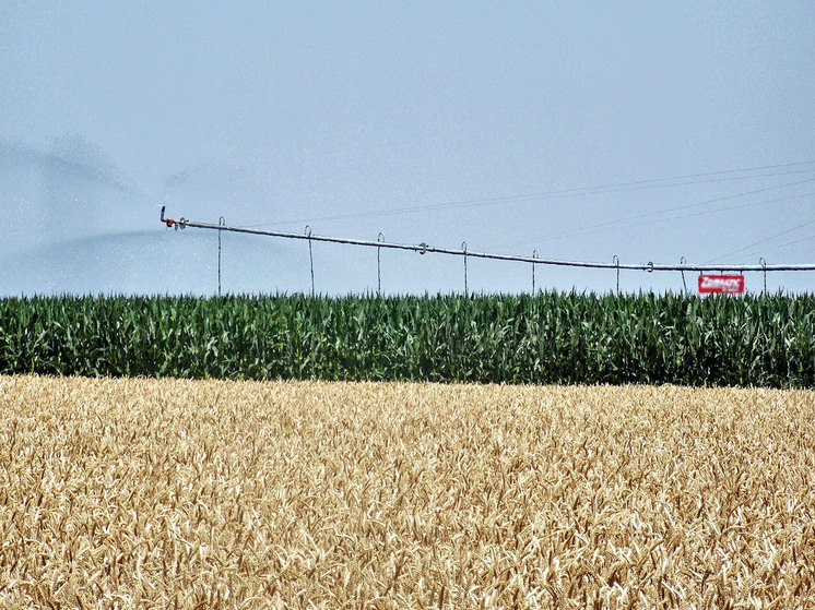 В 2024 году на мелиорацию в Ставропольском крае направят 820 млн рублей