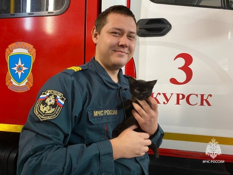 Курские спасатели просят помочь выбрать кличку кошке-талисману части