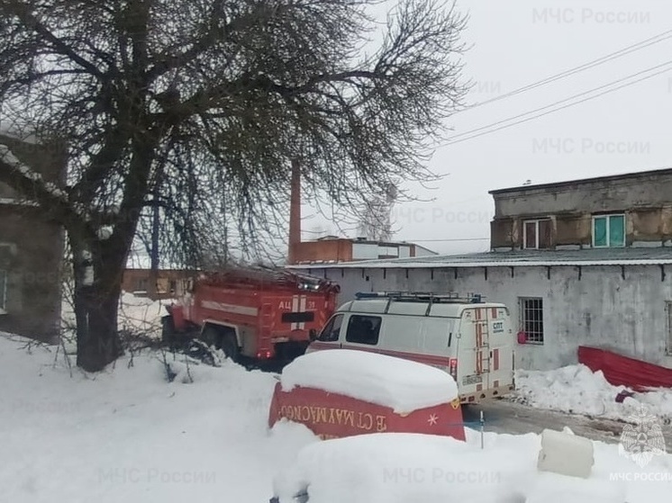 В пятницу в Туле прогнозируют снег с дождем и около нуля