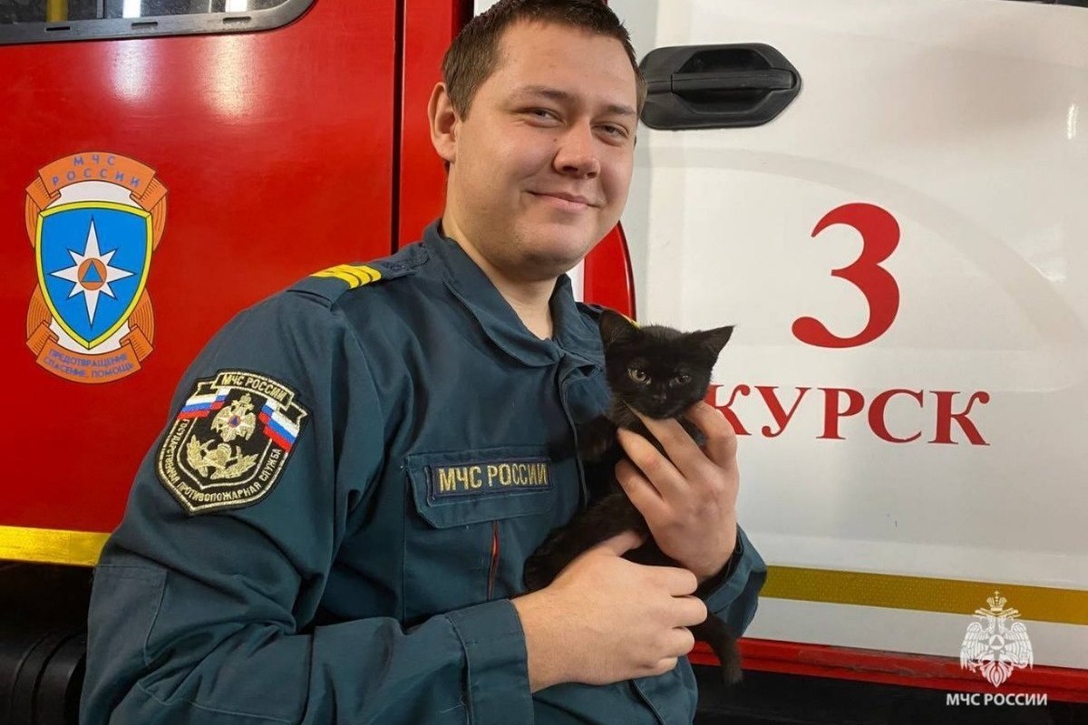 Курские спасатели просят помочь выбрать кличку кошке-талисману части