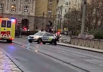 Число погибших при стрельба на Философском факультете Карловского университета в центре Праги достигла 15 человек, сообщает издание idnes