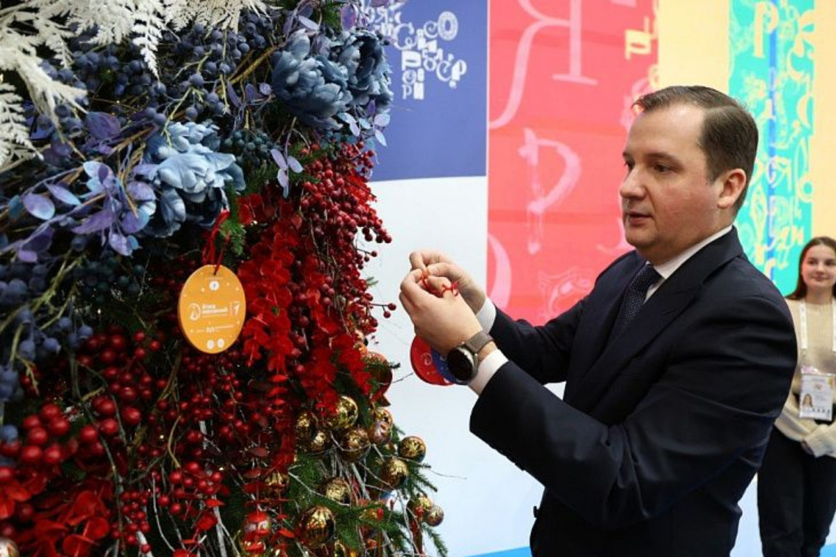 Губернатор Поморья снял три шара с елки на ВДНХ
